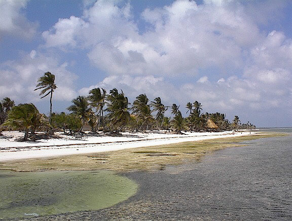 belize1.jpg (79855 bytes)